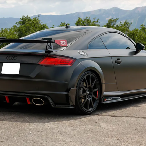 Audi TT RS 2.5T Custom Tune (2012-2013)