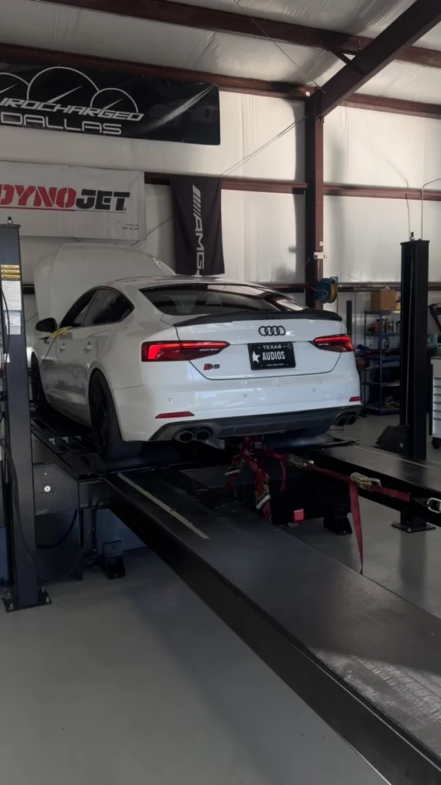 371whp/540wtq on STOCK TURBO/STOCK BLOCK 2019 Audi S5 3.0T ‍ ‍ ‍ ‍ ‍ ‍ ‍ ‍ ‍ ‍ ‍ ‍ ‍ ‍ ‍ ‍ ‍ ‍ ‍ ‍ ‍ ‍ ‍ ‍ ‍ ‍ ‍ ‍ ‍ ‍ ‍ ‍ ‍ ‍ ‍ ‍ ‍ ‍ ‍ ‍ ‍ ‍ ‍ ‍ ‍ ‍ ‍ ‍ ‍ ‍ ‍ ‍ ‍ ‍ ‍ ‍ ‍ ‍ ‍ ‍ ‍ ‍ ‍ ‍ ‍ ‍ ‍ ‍ ‍ ‍ ‍ ‍ ‍ ‍ ‍ ‍ ‍ ‍ ‍ ‍ ‍ ‍ ‍ ‍ ‍ ‍ ‍ ‍ ‍ ‍ ‍ ‍ ‍ ‍ ‍ ‍ ‍ ‍ ‍ ‍ ‍ ‍ ‍ ‍ ‍ ‍ ‍ ‍ ‍ ‍ ‍ ‍ ‍ ‍ ‍ ‍ ‍ ‍ ‍ ‍ ‍ ‍ ‍ ‍ ‍ ‍ ‍ ‍ ‍ ‍ ‍ ‍ ‍ ‍ ‍ ‍ ‍ ‍ ‍ ‍ ‍ ‍ ‍ ‍ ‍ ‍ ‍ ‍ ‍ ‍ ‍ ‍ ‍ ‍ ‍ ‍ ‍ ‍ ‍ ‍ ‍ ‍ ‍ ‍ ‍ ‍ ‍ ‍ ‍ ‍ ‍ ‍ ‍ ‍ ‍ ‍ ‍ ‍ ‍ ‍ ‍ ‍ ‍ ‍ ‍ ‍ ‍ ‍ ‍ ‍ ‍ ‍ ‍ ‍ ‍ ‍ ‍ ‍ ‍ ‍ ‍ ‍ ‍ ‍ ‍ ‍ ‍ ‍ ‍ ‍ ‍ ‍ ‍ ‍ ‍ ‍ ‍ ‍ ‍ ‍ ‍ ‍ ‍ ‍ ‍ ‍ ‍ ‍ ‍ ‍ ‍ ‍ ‍ ‍ ‍ ‍ ‍ ‍ ‍ ‍ ‍ ‍ ‍ ‍ ‍ ‍ ‍ ‍ ‍ ‍ ‍ ‍ ‍ ‍ ‍ ‍ ‍ ‍ ‍ ‍ 

#audi #audisport #audiquattro #tune #30t #s5 #s4 #ecaconcepts #Audi #AudiTuning #AudiPerformance #AudiMods #AudiLife #AudiLove #AudiSport #Quattro #AudiQuattro #SLine #AudiRS #AudiS4 #AudiS5 #AudiA4 #AudiA5 #AudiNation #AudiClub #AudiGram #AudiLover #AudiFans #AudiWorld